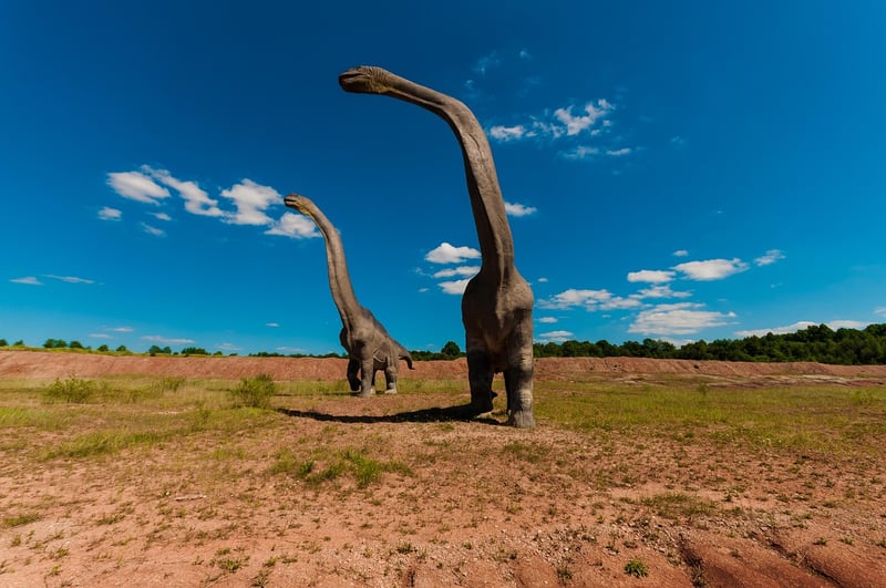 Zigong Dinosaur Museum